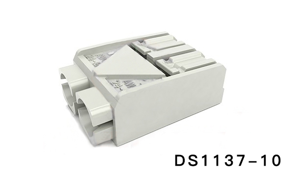 DS1137-10